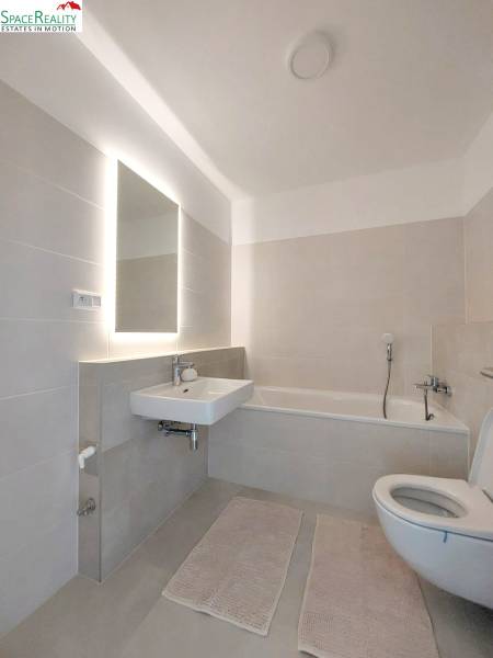 Rent One bedroom apartment, One bedroom apartment, Mlynské nivy, Brati