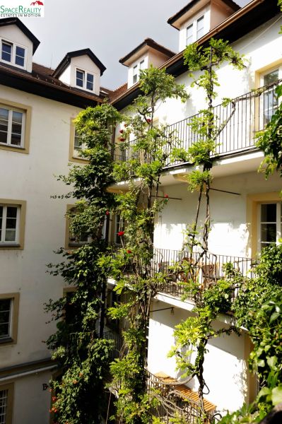 Rent One bedroom apartment, One bedroom apartment, Kapucínska, Bratisl
