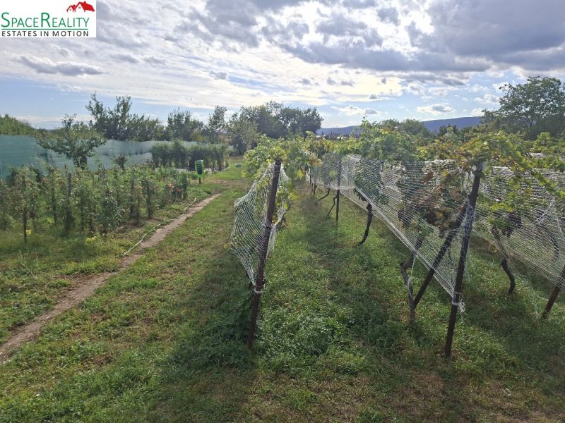 Sale Land – for living, Land – for living, Hlavná, Pezinok, Slovakia
